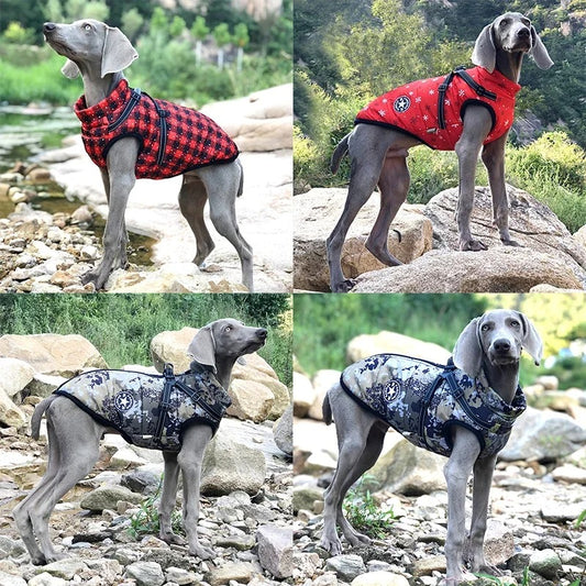 The Fluxora™ All-in-One Winter Dog Jacket